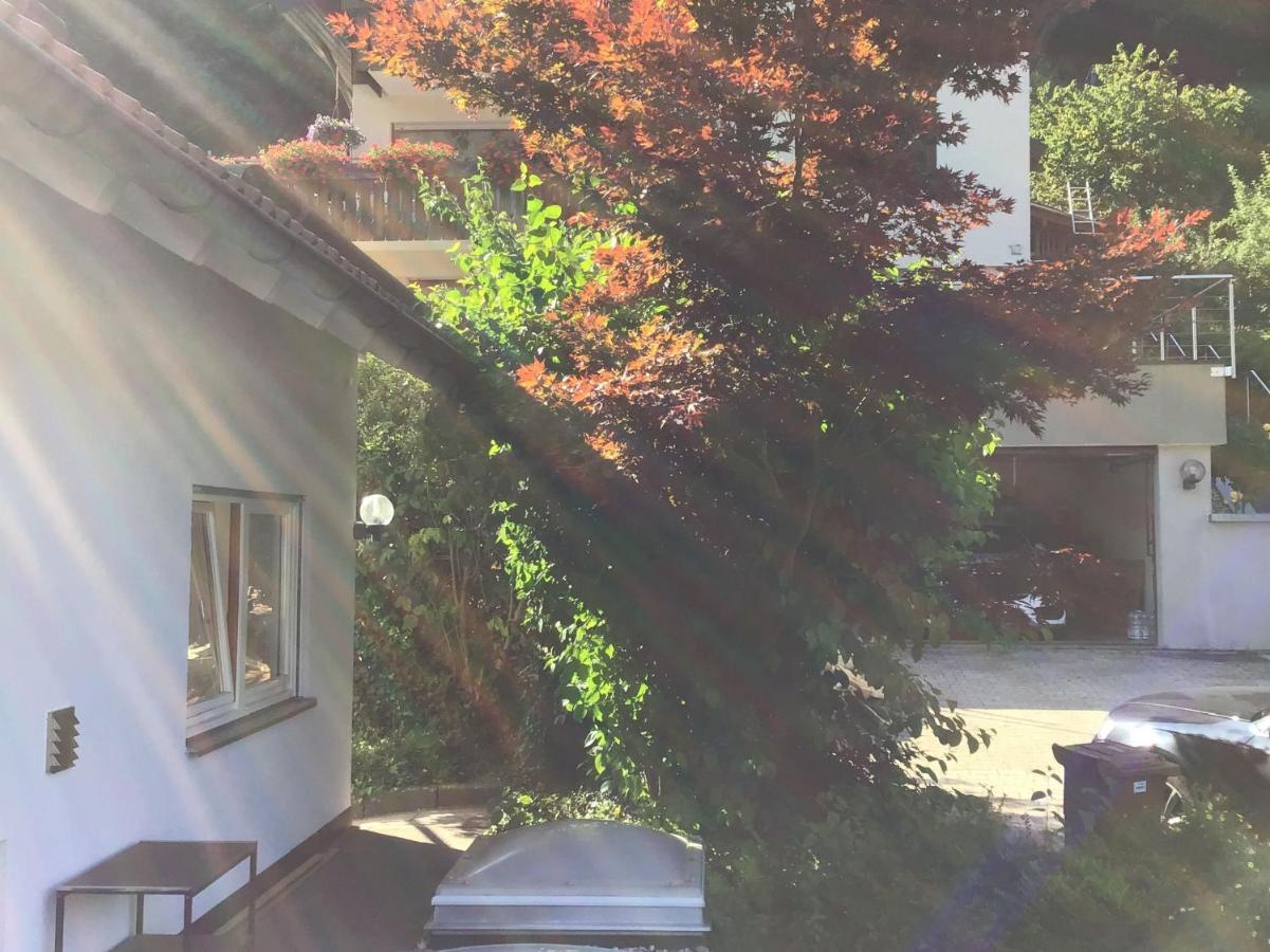 Ferienwohnung Am Eiberg باد ويلباد المظهر الخارجي الصورة